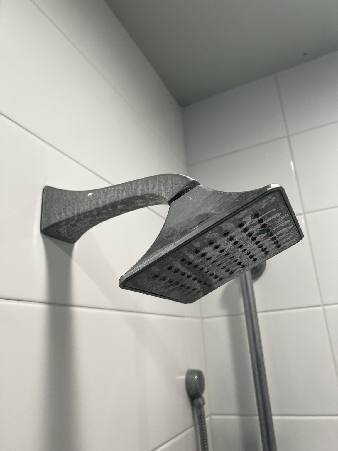 Shower Fixture before